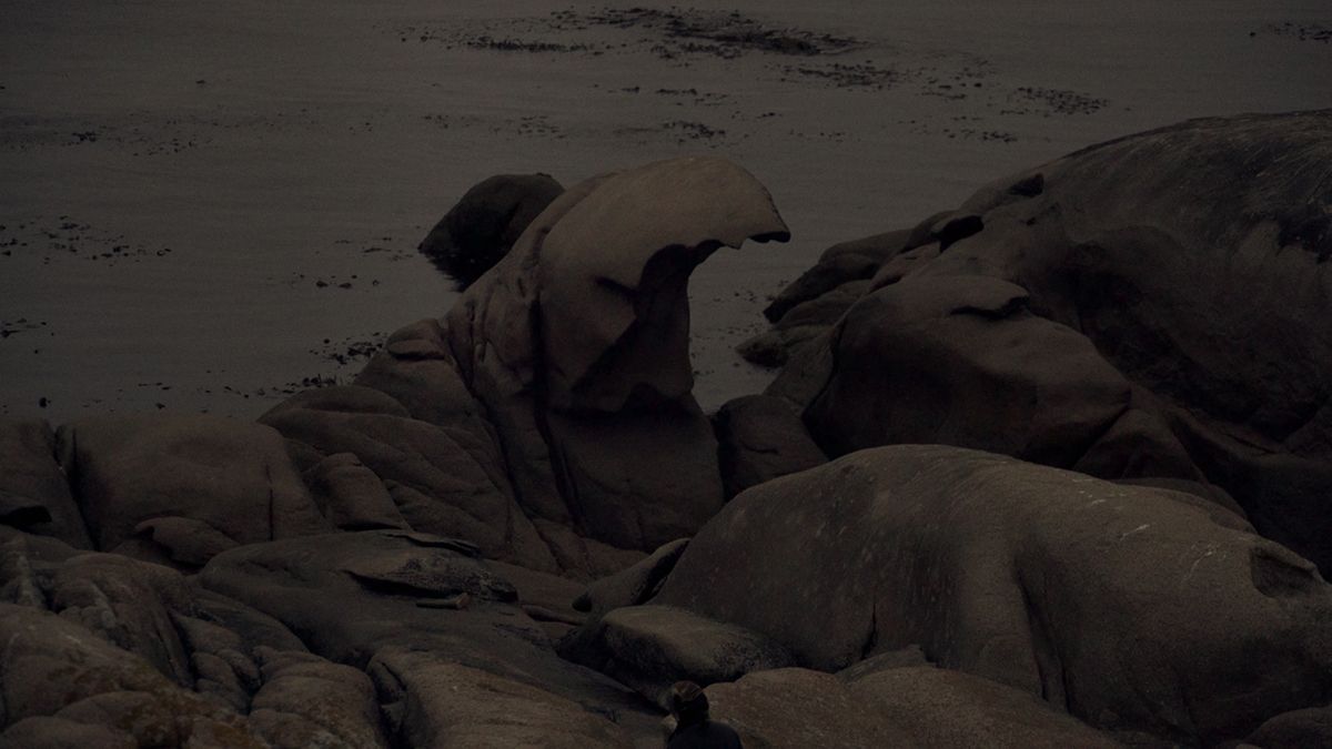 Red Moon Tide : Bild