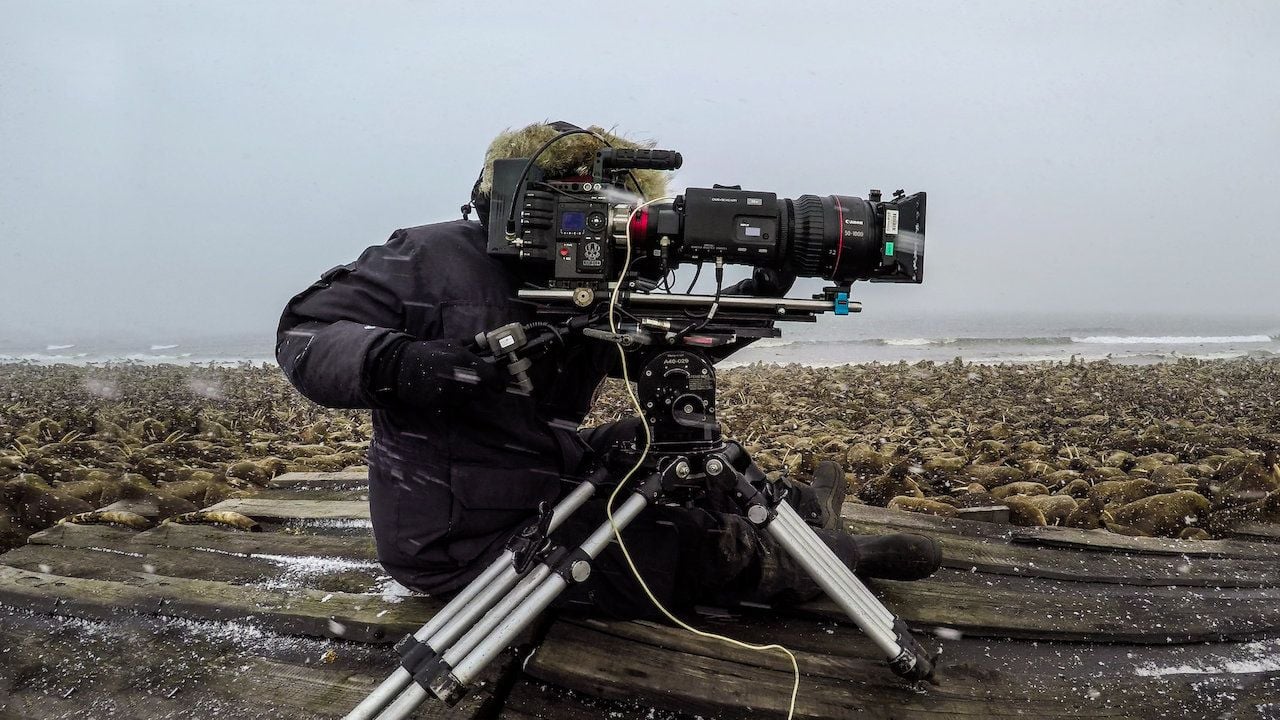 Our Planet: Behind the Scenes : Bild