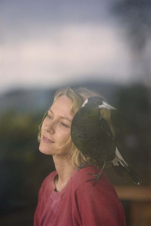 Beflügelt – Ein Vogel namens Penguin Bloom : Bild Naomi Watts