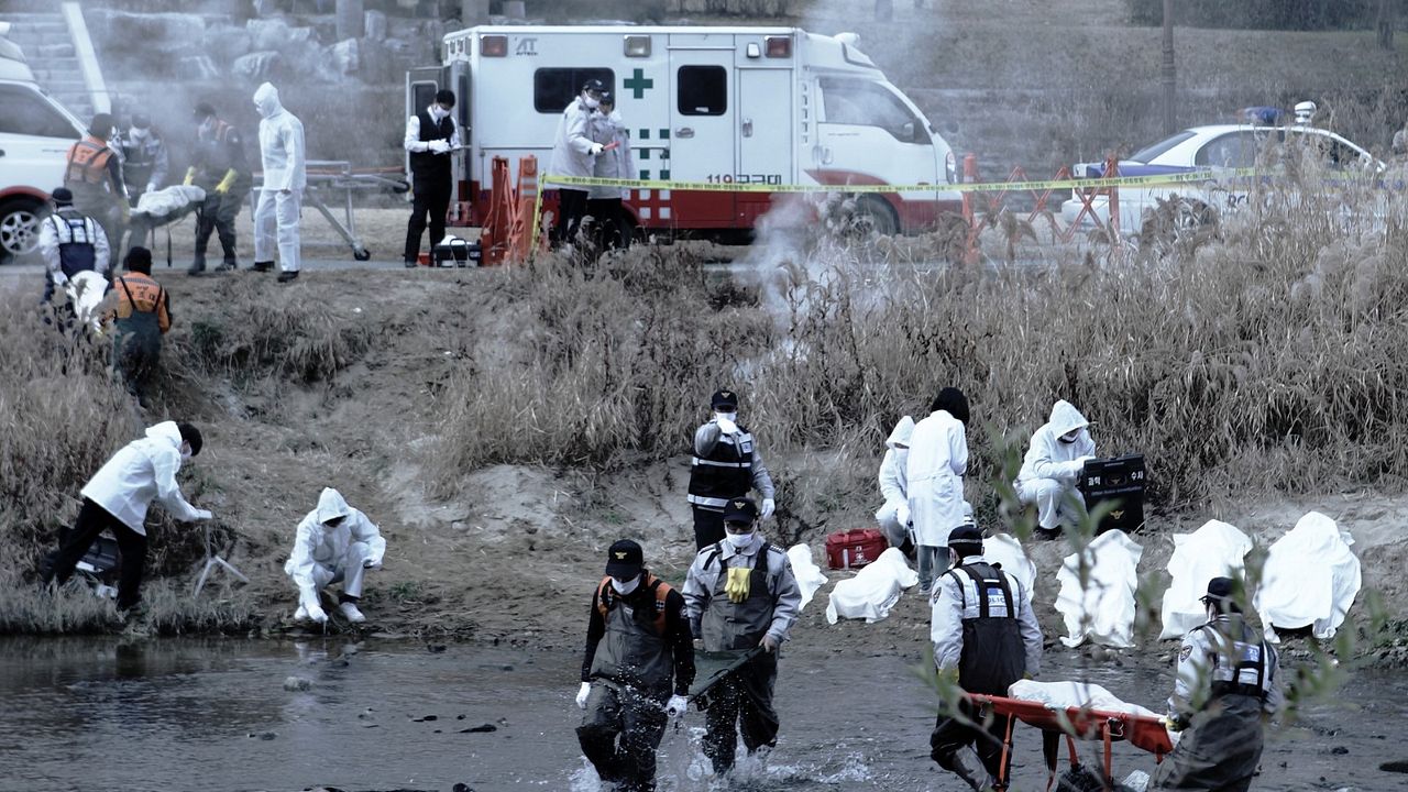 Contamination - Tödliche Parasiten : Bild