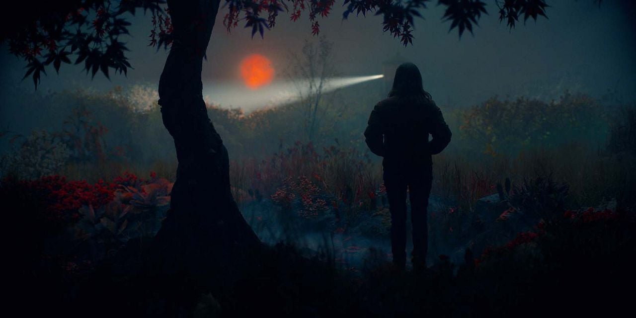 Lisey's Story : Bild