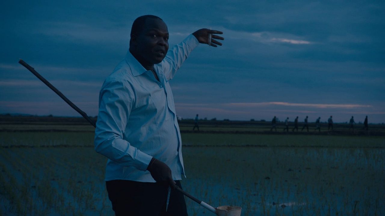 Das Fieber – Der Kampf gegen Malaria : Bild