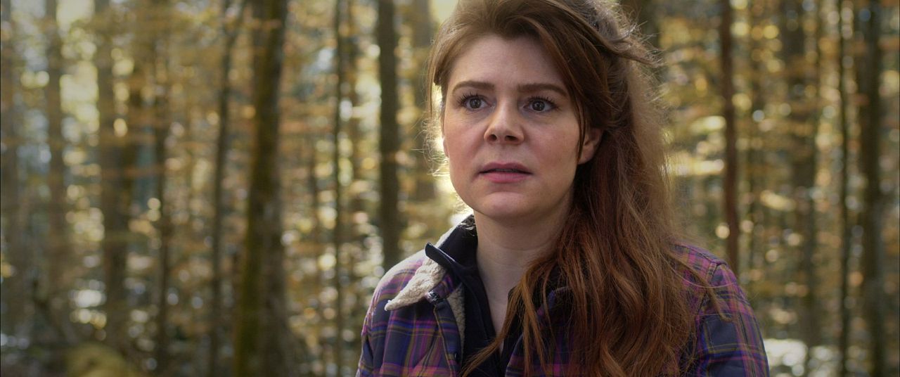 Der wilde Wald - Natur Natur sein lassen : Bild