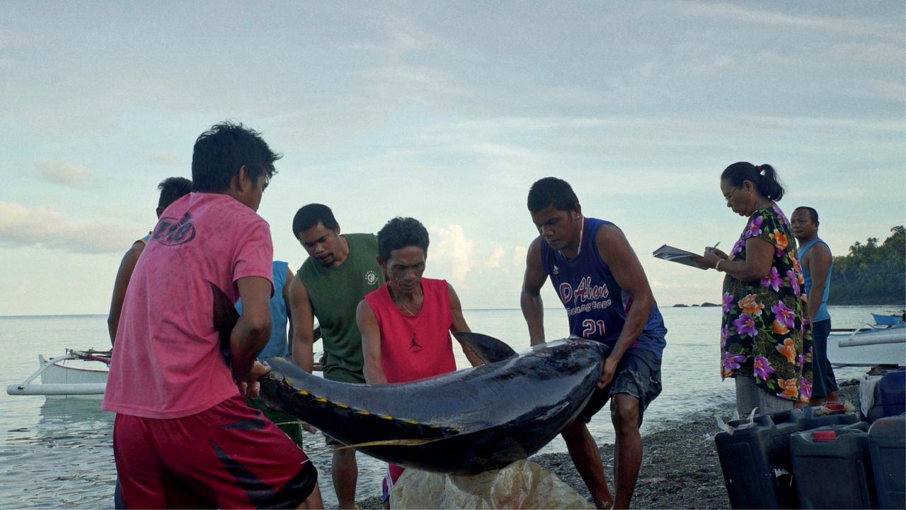 Letzte Tage am Meer : Bild