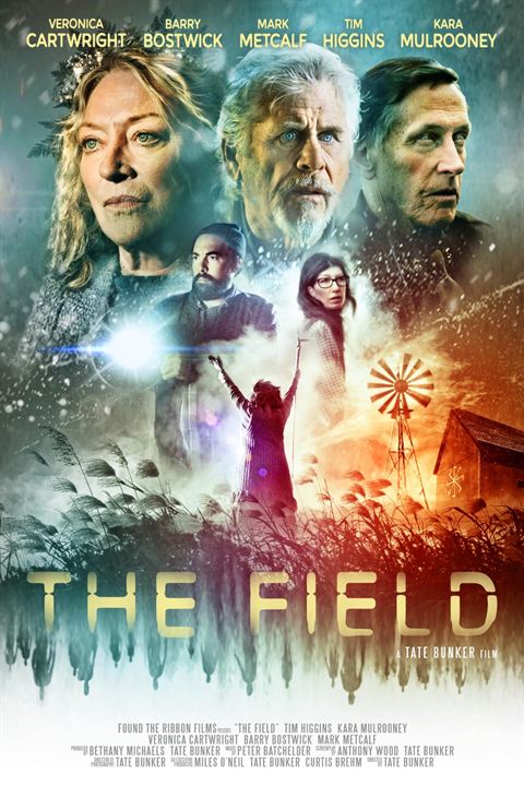 The Field - Das Geheimnis der Farm : Kinoposter