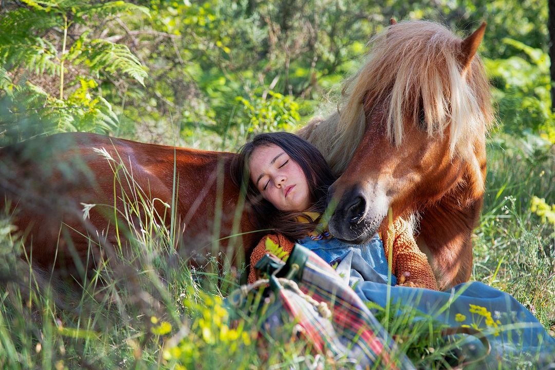 Mein Freund Poly : Bild Elisa de Lambert