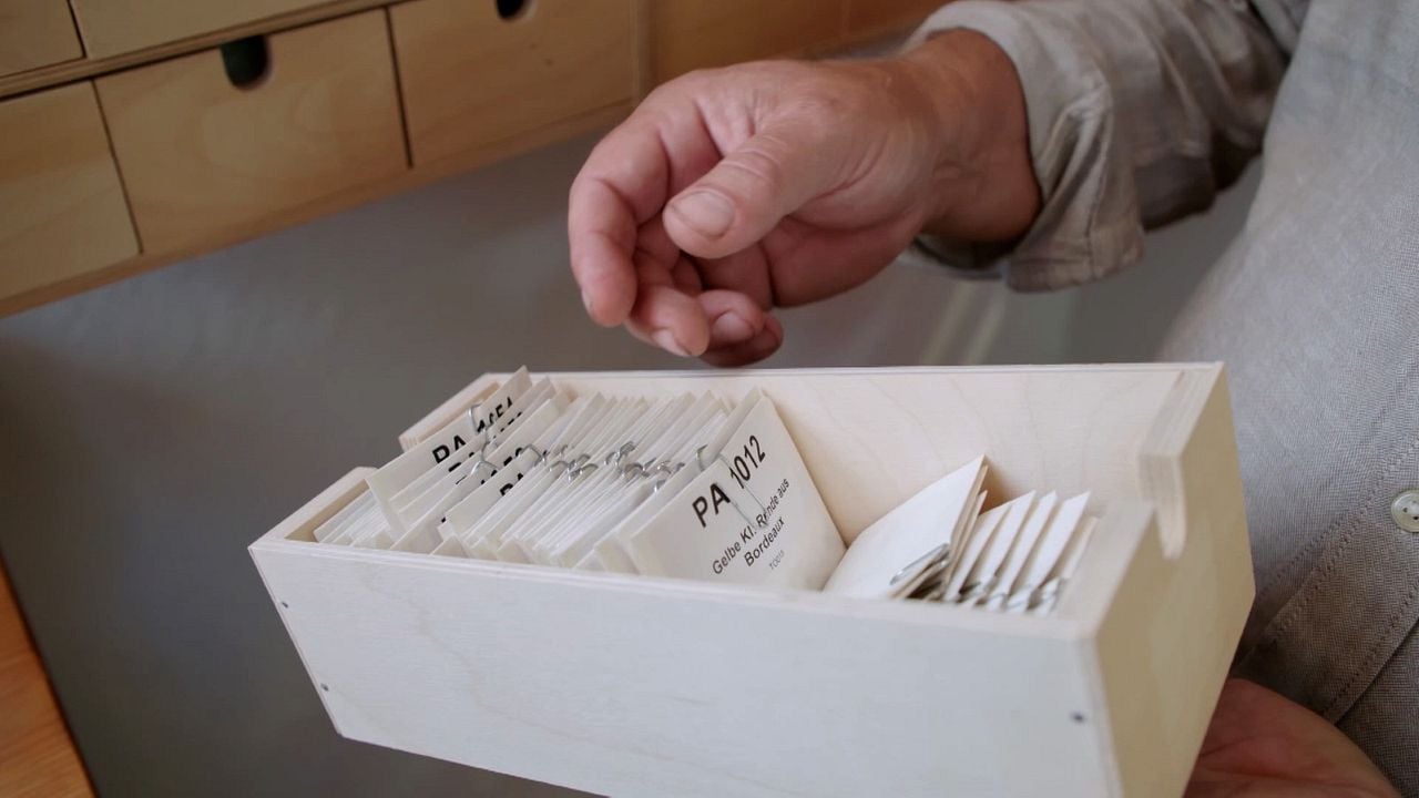 Wurzeln des Überlebens : Bild