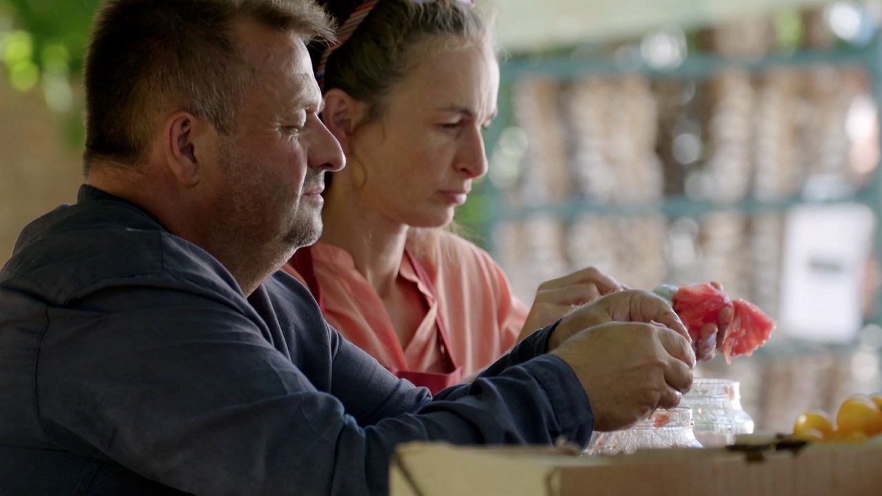 Wurzeln des Überlebens : Bild