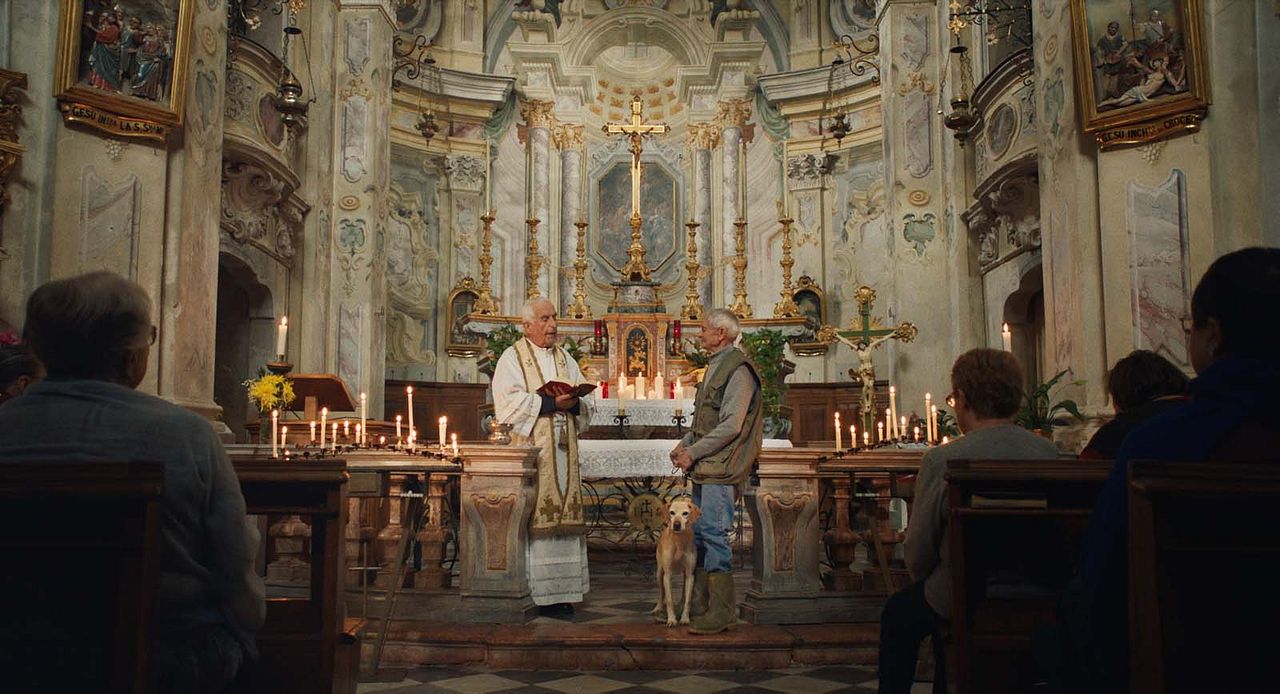 The Truffle Hunters : Bild