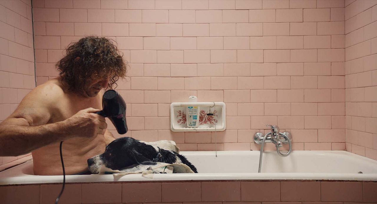 The Truffle Hunters : Bild