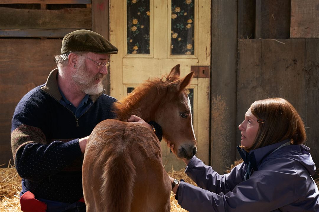 Dream Horse : Bild Toni Collette, Owen Teale