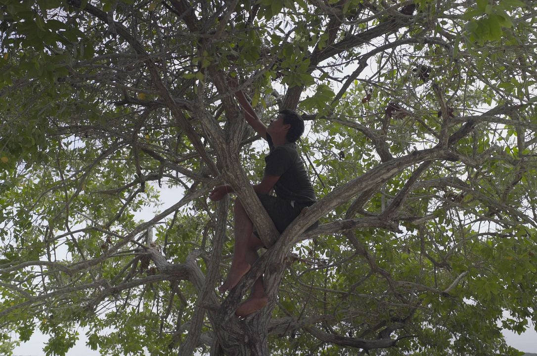 Cosas que no hacemos : Bild