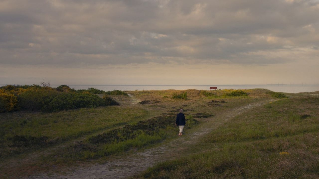 Teachers For Life - Lernen aus Verbundenheit : Bild