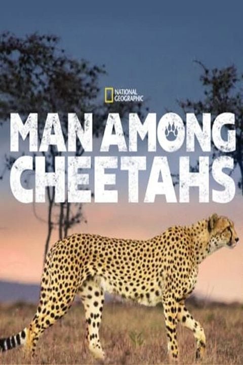 Man Among Cheetahs : Kinoposter