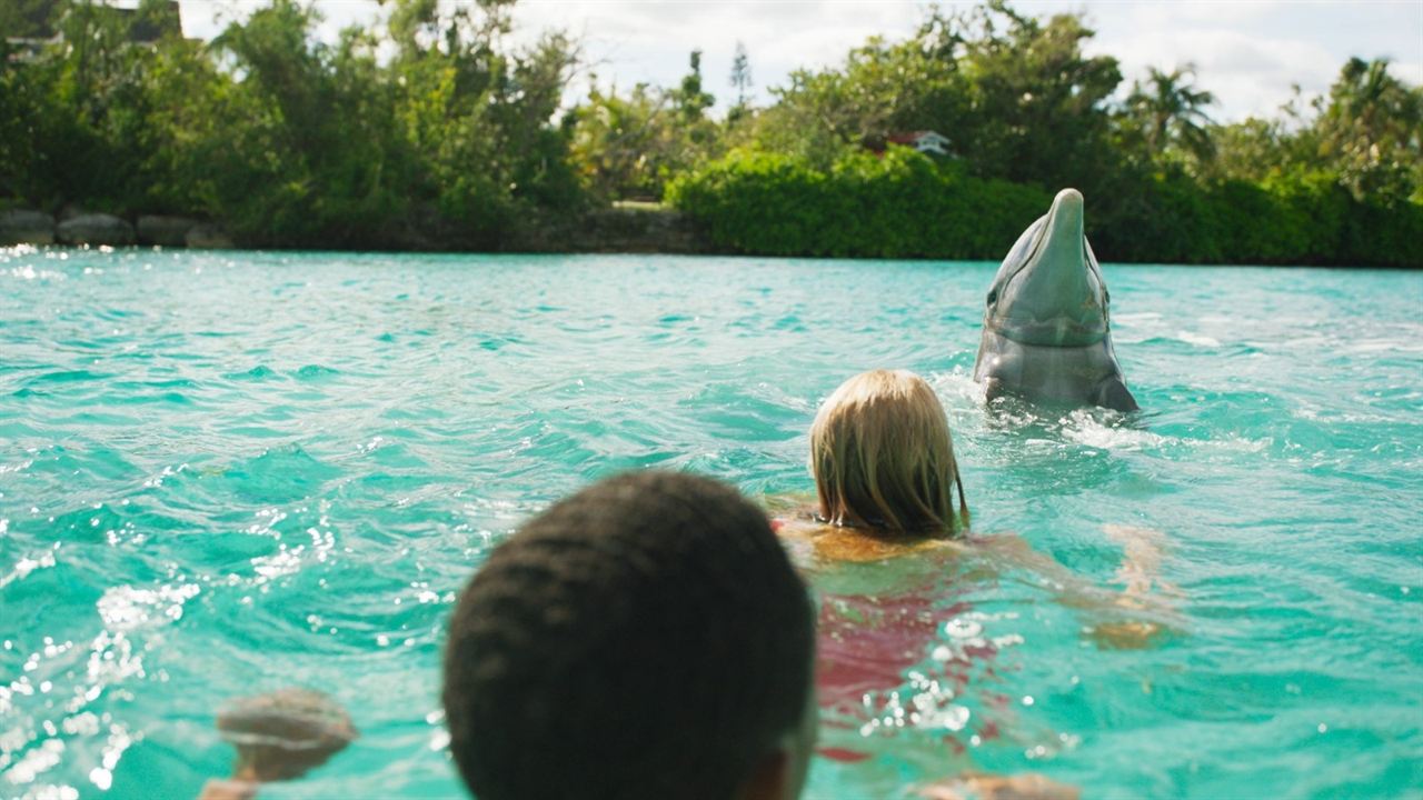 Die Insel der Delfine : Bild