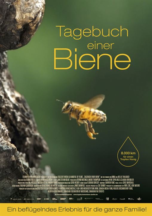 Tagebuch einer Biene : Kinoposter