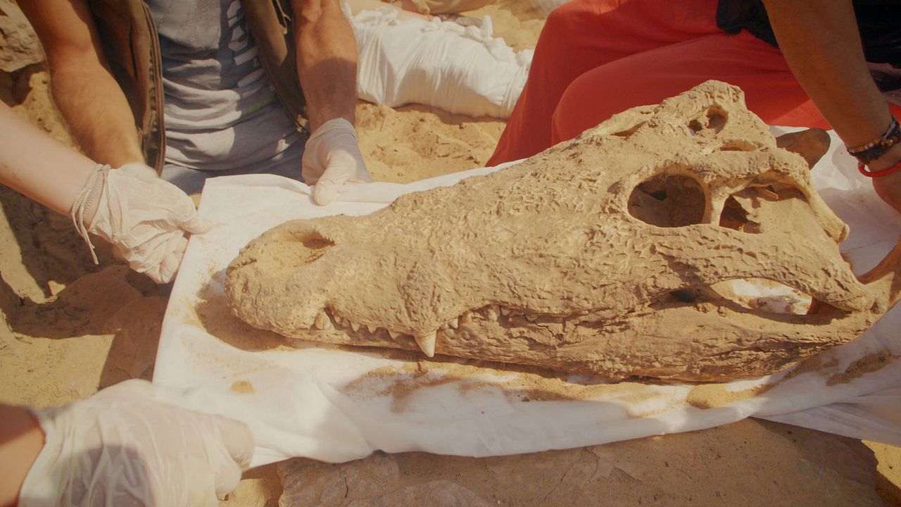 Tal der Könige: Ägyptens verlorene Schätze : Bild