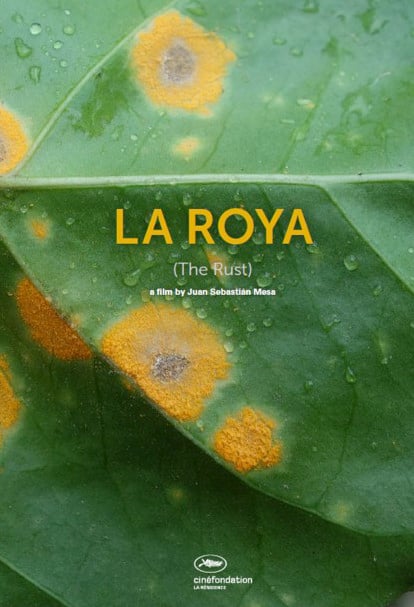 La Roya : Kinoposter