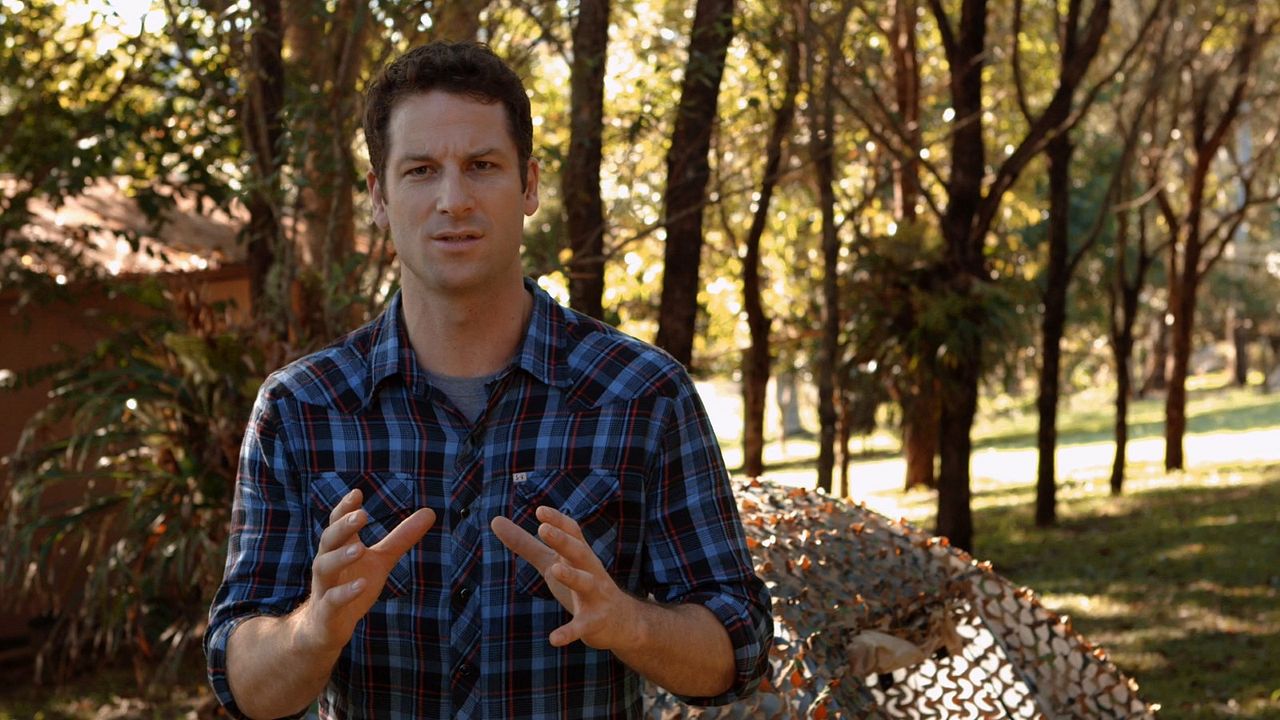 The Jungle - Es wird Dich jagen : Bild