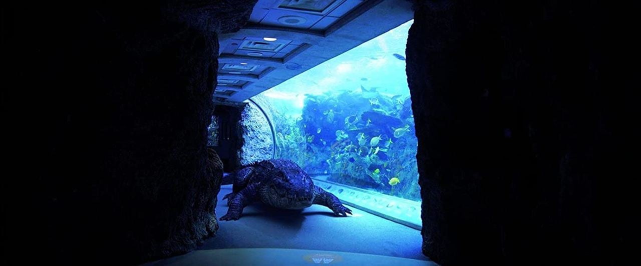 Aquarium Of The Dead : Bild