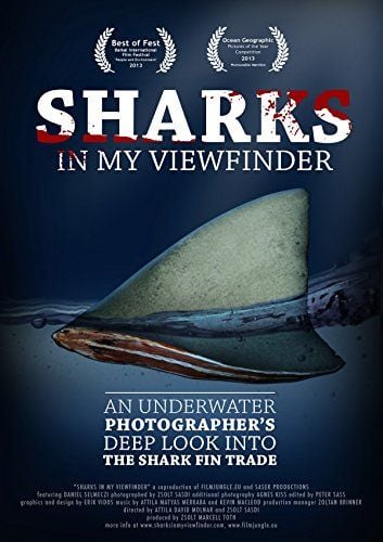 Sharks in My Viewfinder : Kinoposter