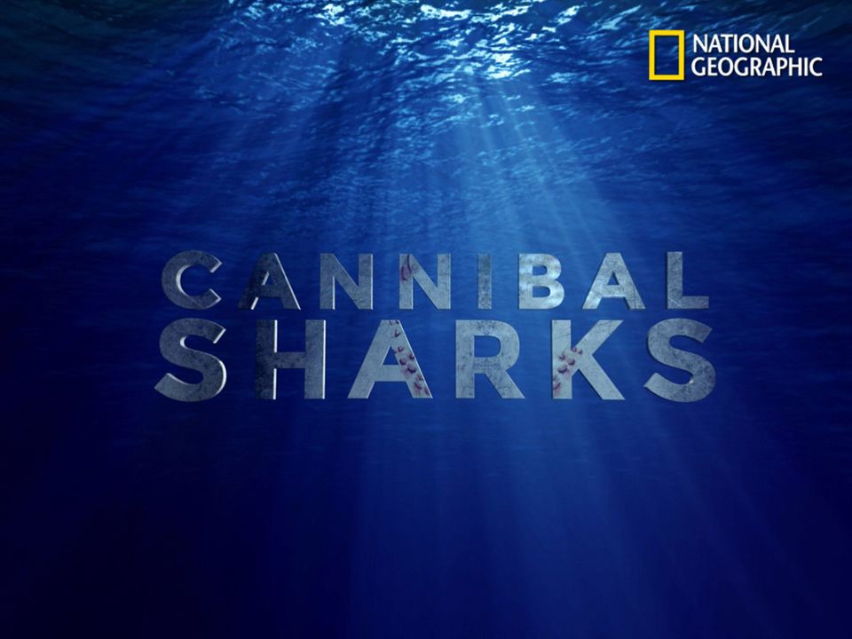 Cannibal Sharks : Kinoposter