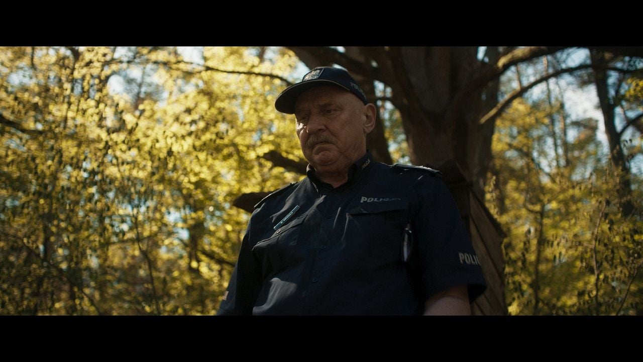 Nobody Sleeps In The Woods Tonight - Teil 2 : Bild