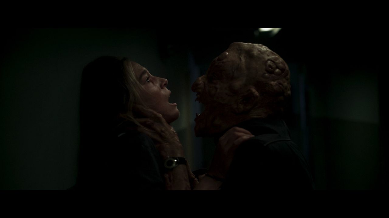 Nobody Sleeps In The Woods Tonight - Teil 2 : Bild