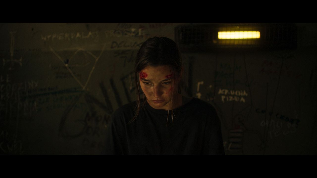 Nobody Sleeps In The Woods Tonight - Teil 2 : Bild