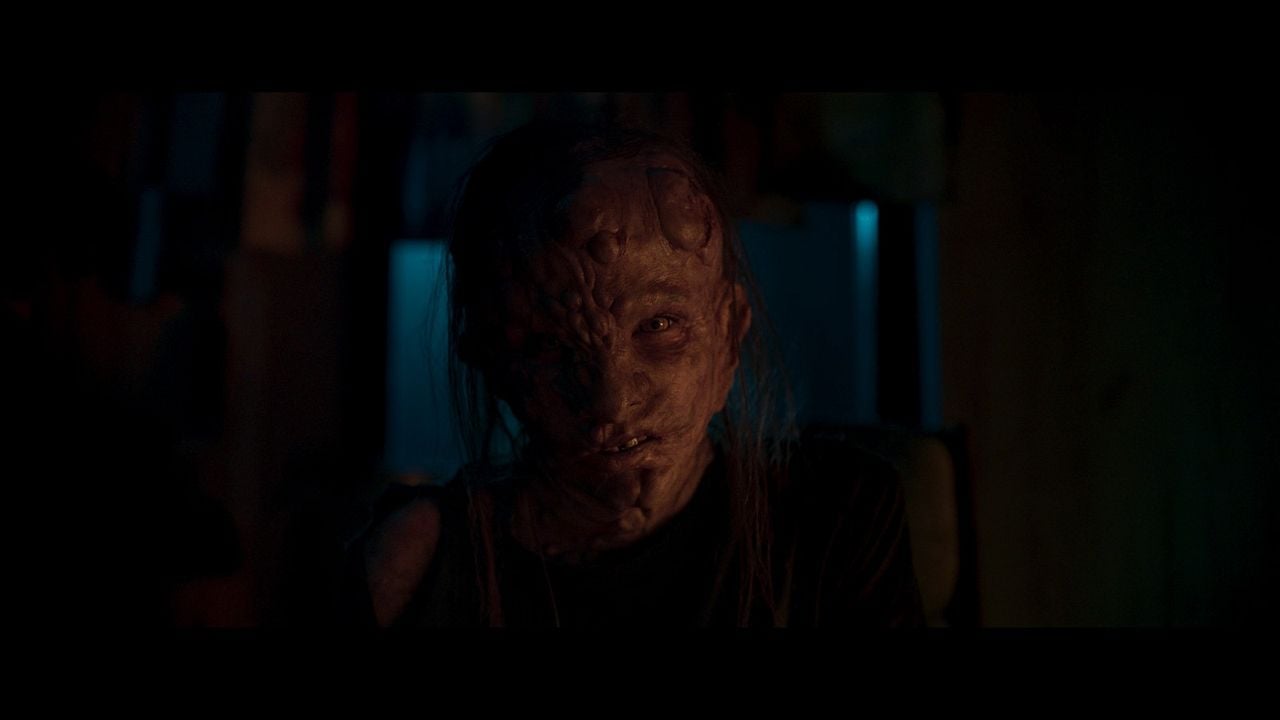 Nobody Sleeps In The Woods Tonight - Teil 2 : Bild