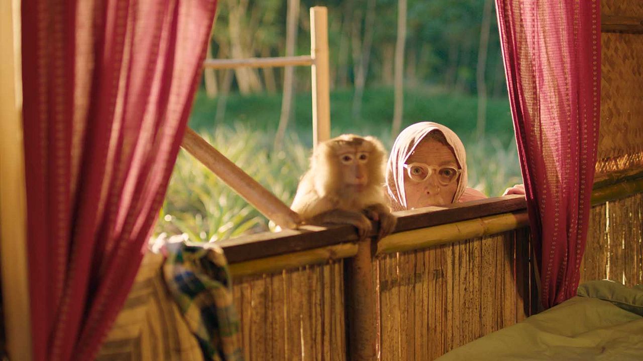 Les Bodin's en Thaïlande : Bild Vincent Dubois