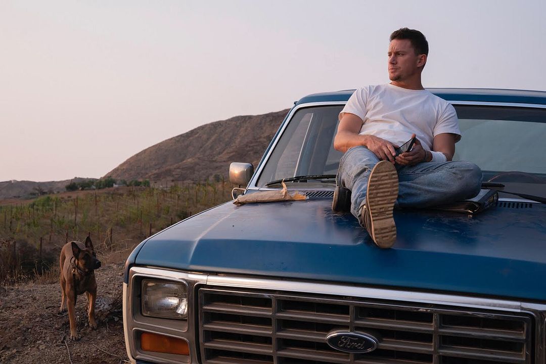 Dog - Das Glück hat vier Pfoten : Bild Channing Tatum