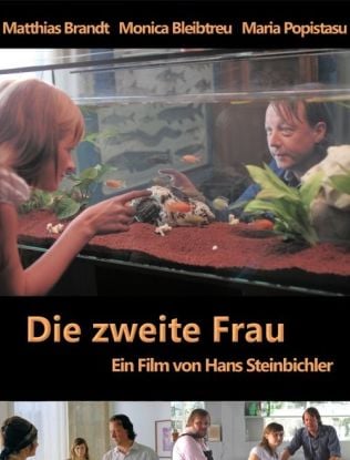 Die zweite Frau : Kinoposter