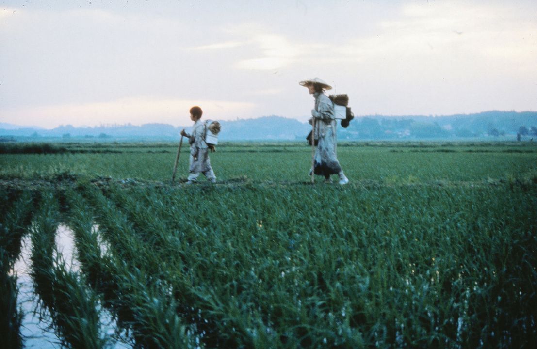 Zerbrechliches Schicksal : Bild