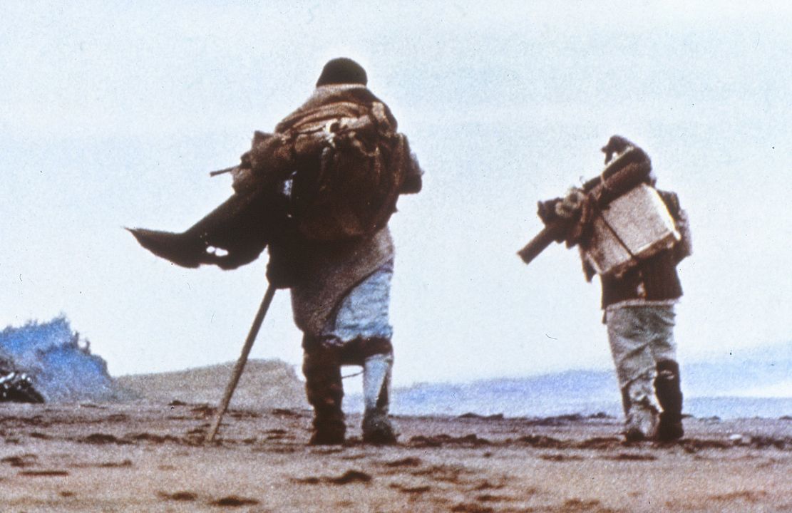 Zerbrechliches Schicksal : Bild