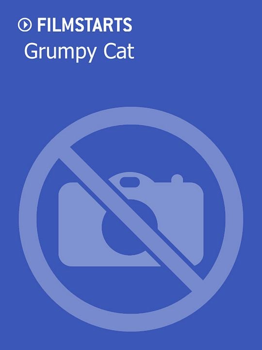 Grumpy Cat : Kinoposter