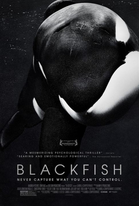 Blackfish : Kinoposter