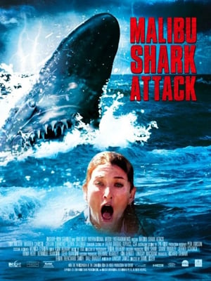 Shark Attack - Sie lauern in der Tiefe! : Kinoposter