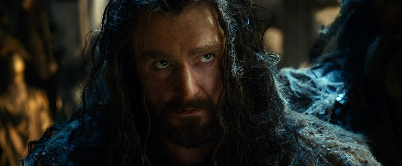 Der Hobbit: Smaugs Einöde : Bild Richard Armitage