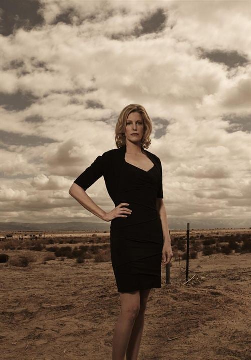 Breaking Bad : Bild Anna Gunn