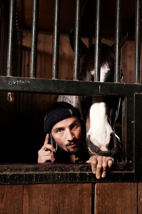 Das Pferd auf dem Balkon : Bild Murathan Muslu
