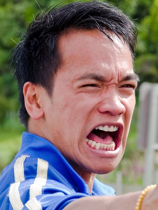 Kinoposter Ralph Hilaga