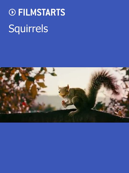 Squirrels : Kinoposter