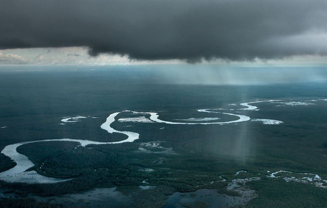 Amazonia - Abenteuer im Regenwald : Bild