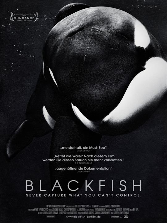 Blackfish : Kinoposter