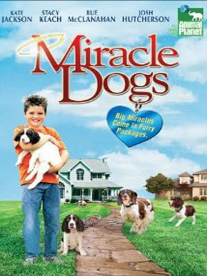 Miracle Dogs : Kinoposter