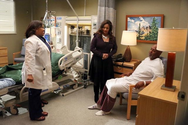Grey's Anatomy - Die jungen Ärzte : Bild Chandra Wilson, James Pickens Jr., Debbie Allen