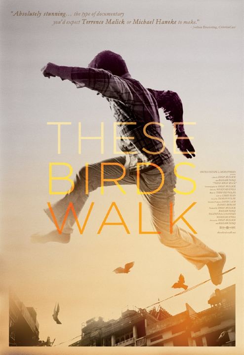These Birds Walk : Kinoposter