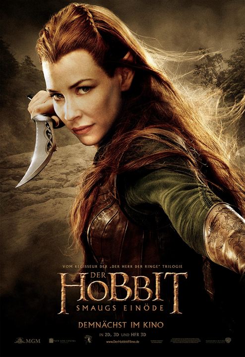 Der Hobbit: Smaugs Einöde : Kinoposter