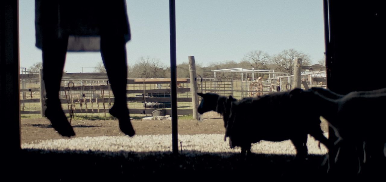 The Dark And The Wicked : Bild